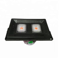 3 years warranty COB Full Spectrum plant LED Grow Light led plant lamp