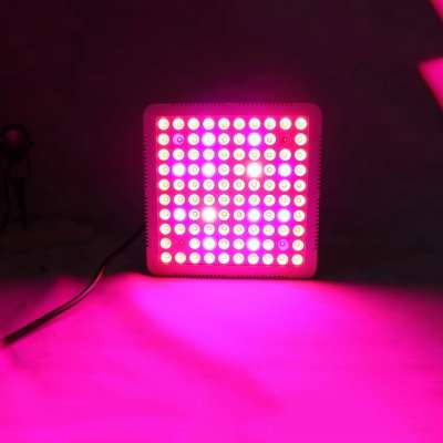 China Led Light, Led Panel Light Manufacturer 300W Led Grow Light Panel